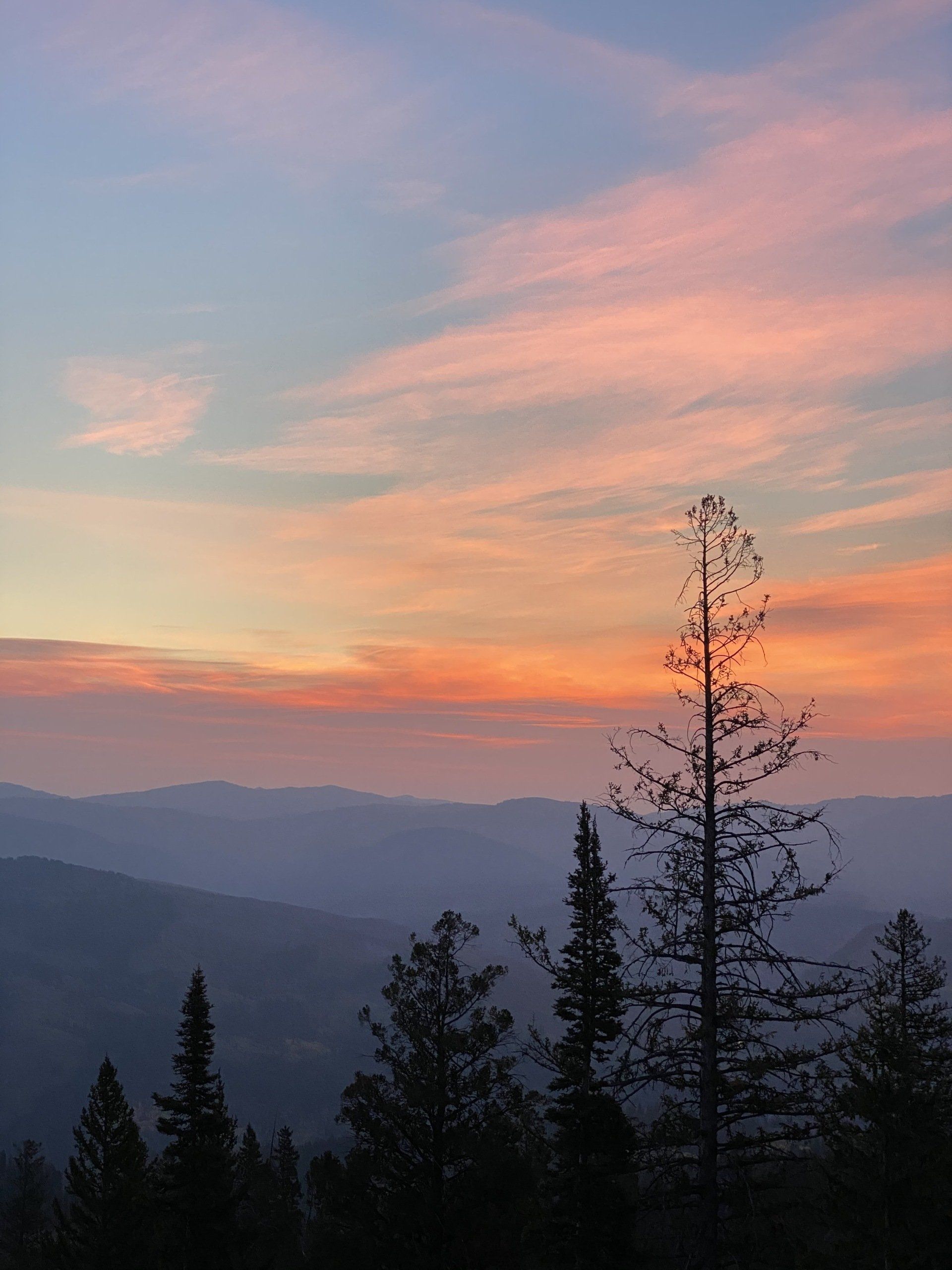 A sunset with trees in the foreground and mountains in the background