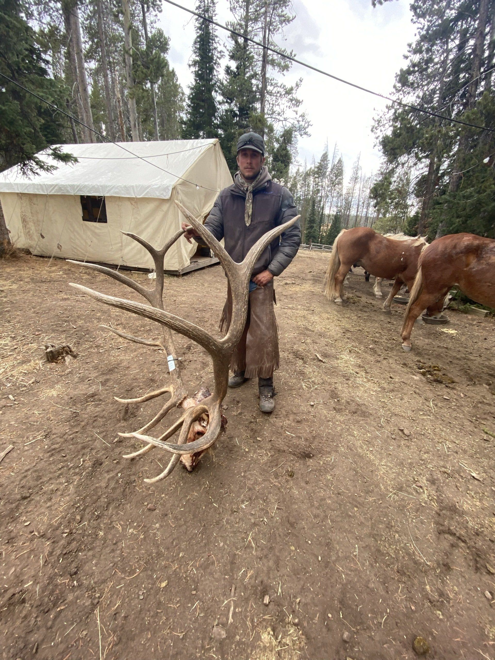 South Dakota Elk Hunting Non Resident 32 - 63s6k31