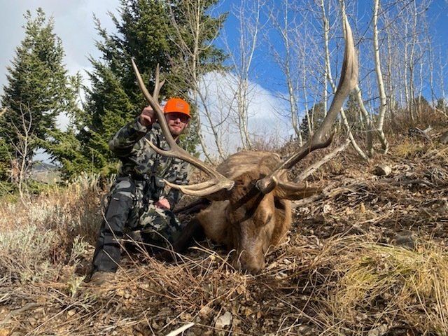 ROCKY MOUNTAN ELK HUNTING