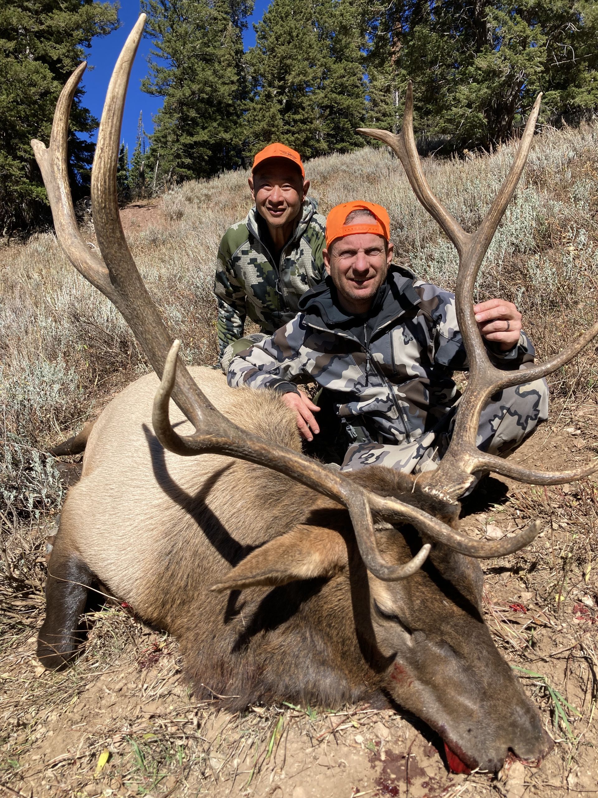 WYOMING ELK HUNTING | NON-TYPICAL OUTFITTERS