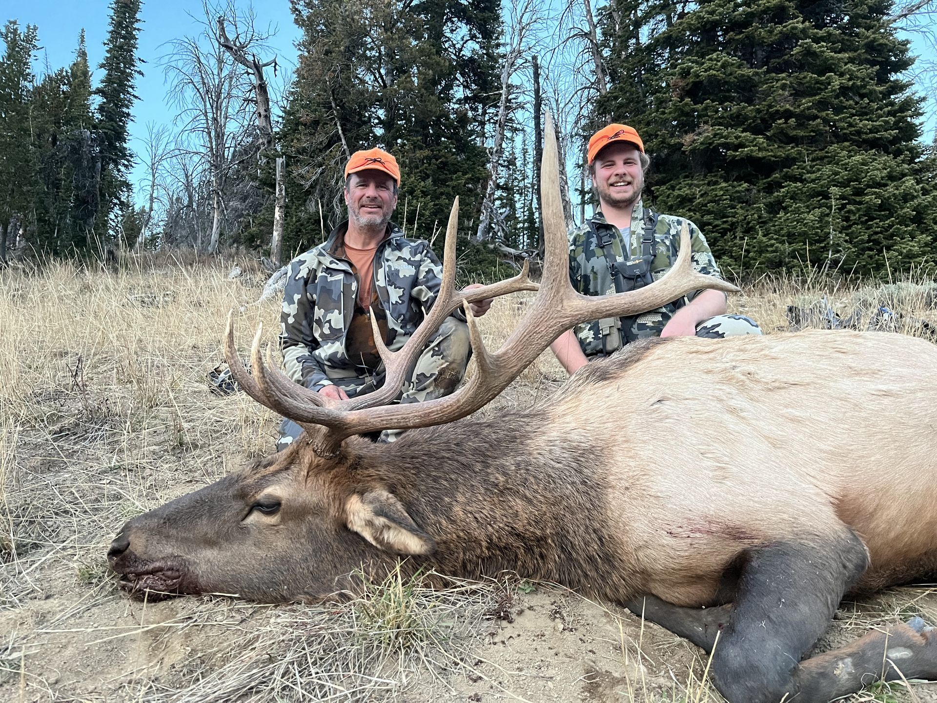 WYOMING ELK HUNTING | NON-TYPICAL OUTFITTERS