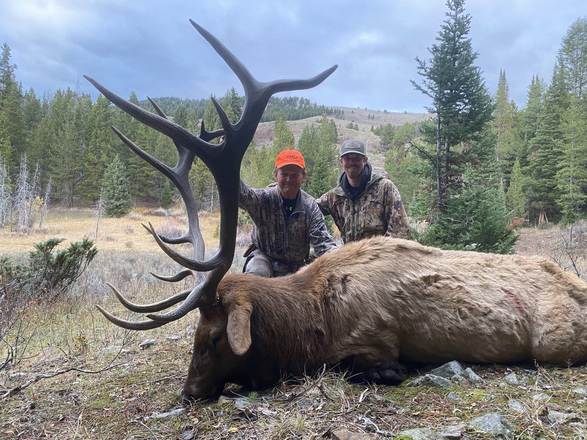 WYOMING ELK HUNTING NONTYPICAL OUTFITTERS