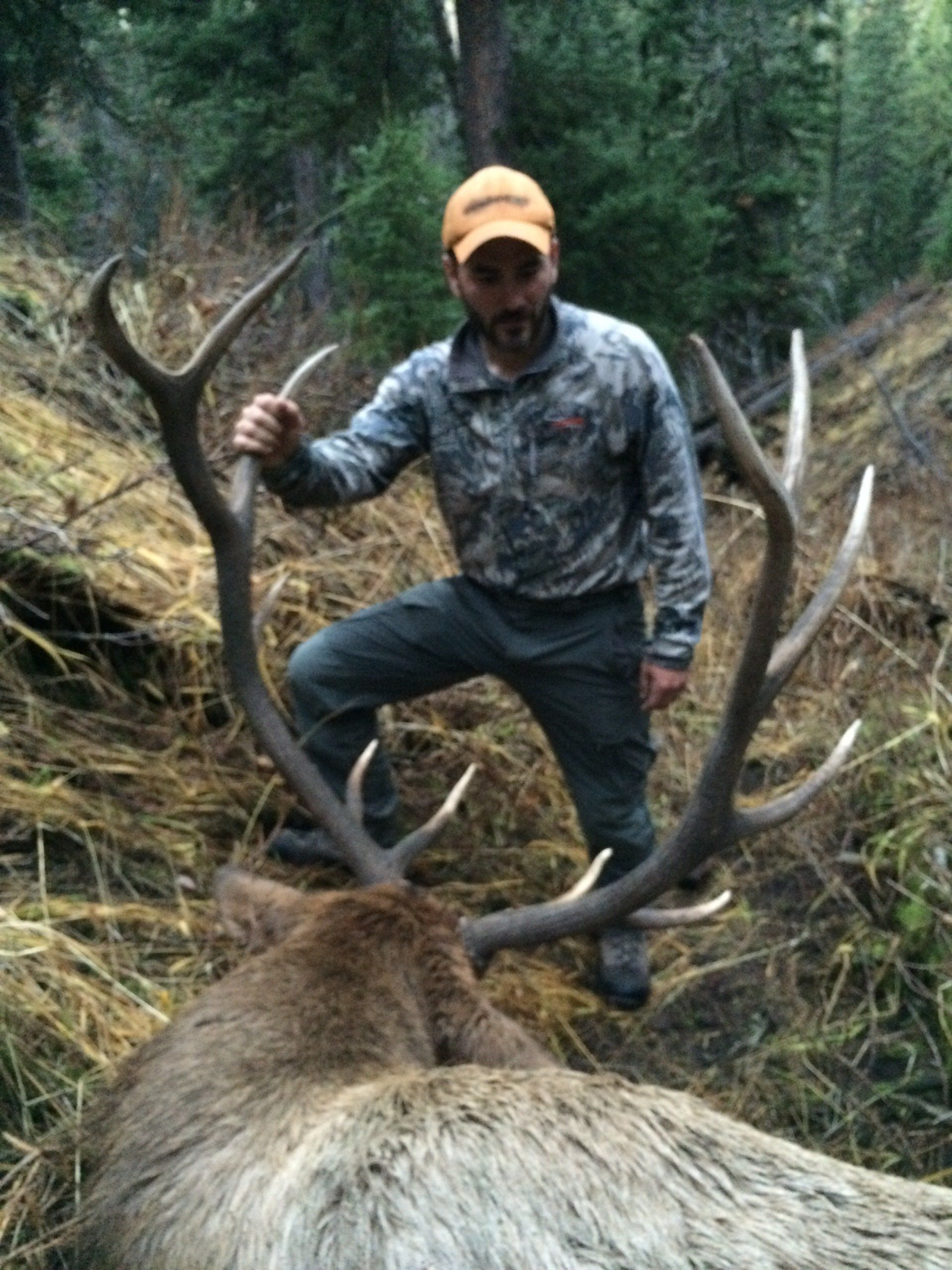 Man in camo holds elk antlers in forest.
