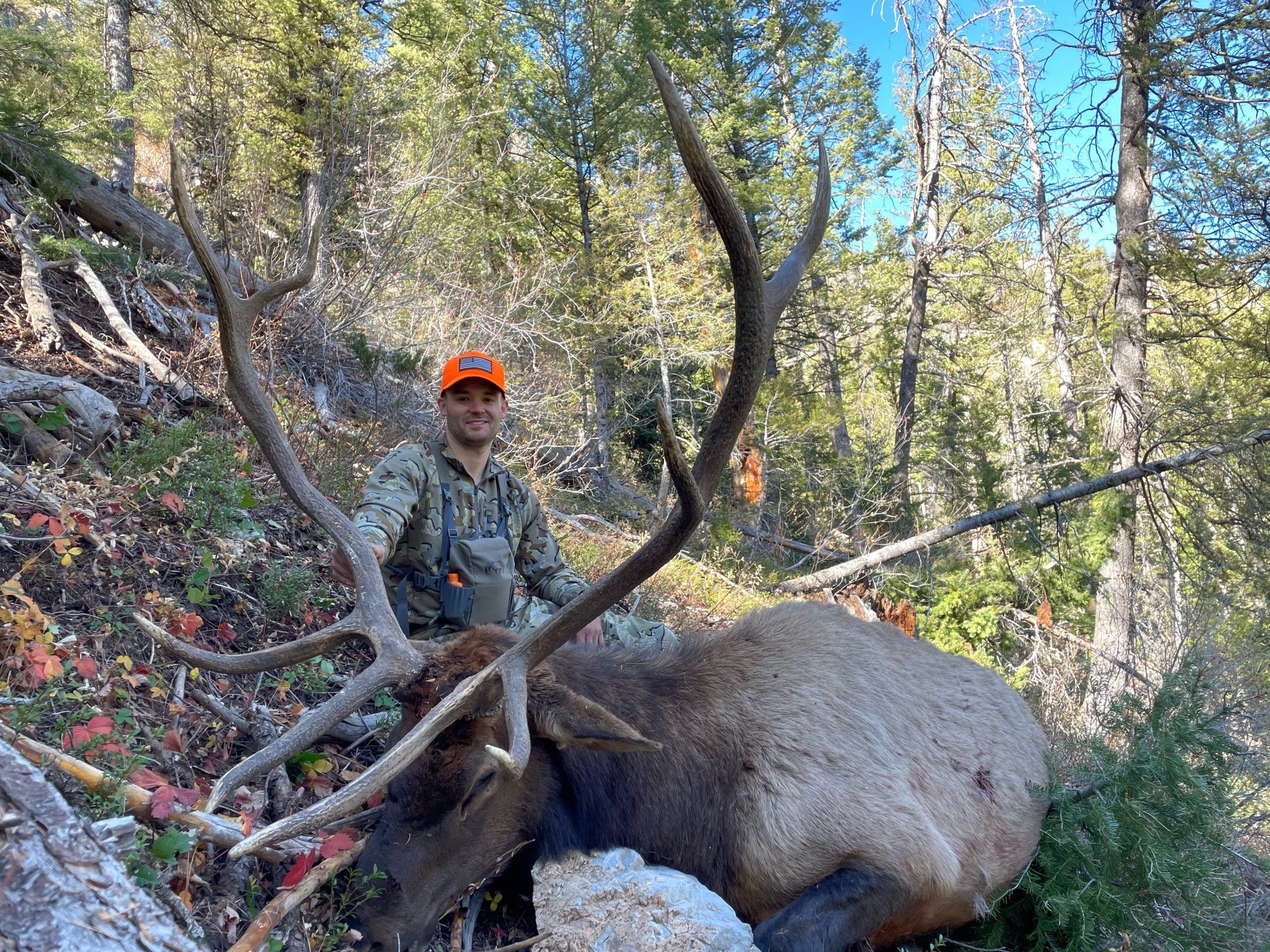 WYOMING ELK HUNTING NONTYPICAL OUTFITTERS