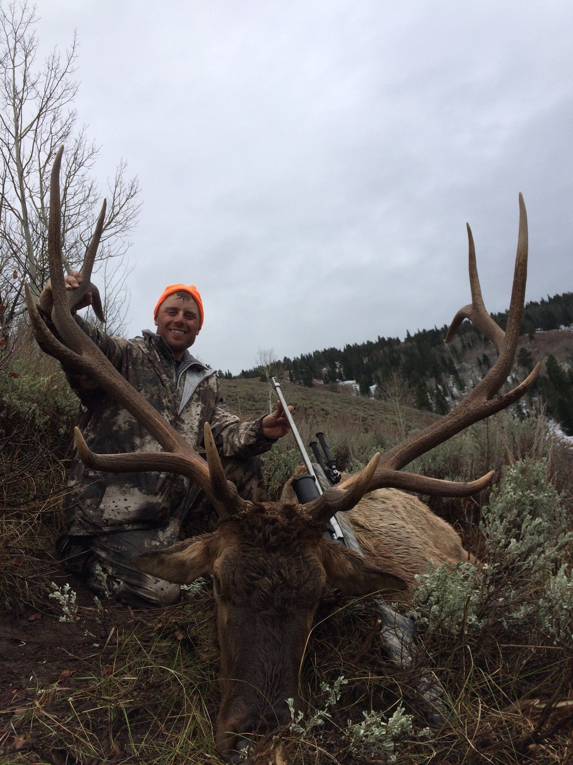 Hunter smiles, posing with a large elk, outdoors. He holds a rifle, wearing camouflage and an orange hat, in a mountain setting.