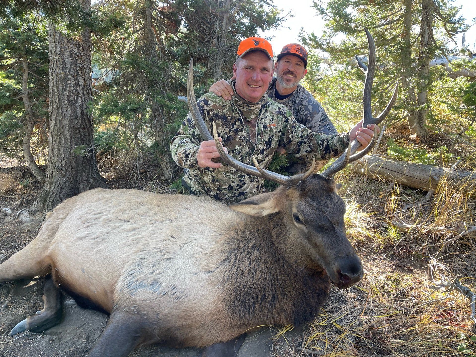 WYOMING ELK HUNTING NONTYPICAL OUTFITTERS