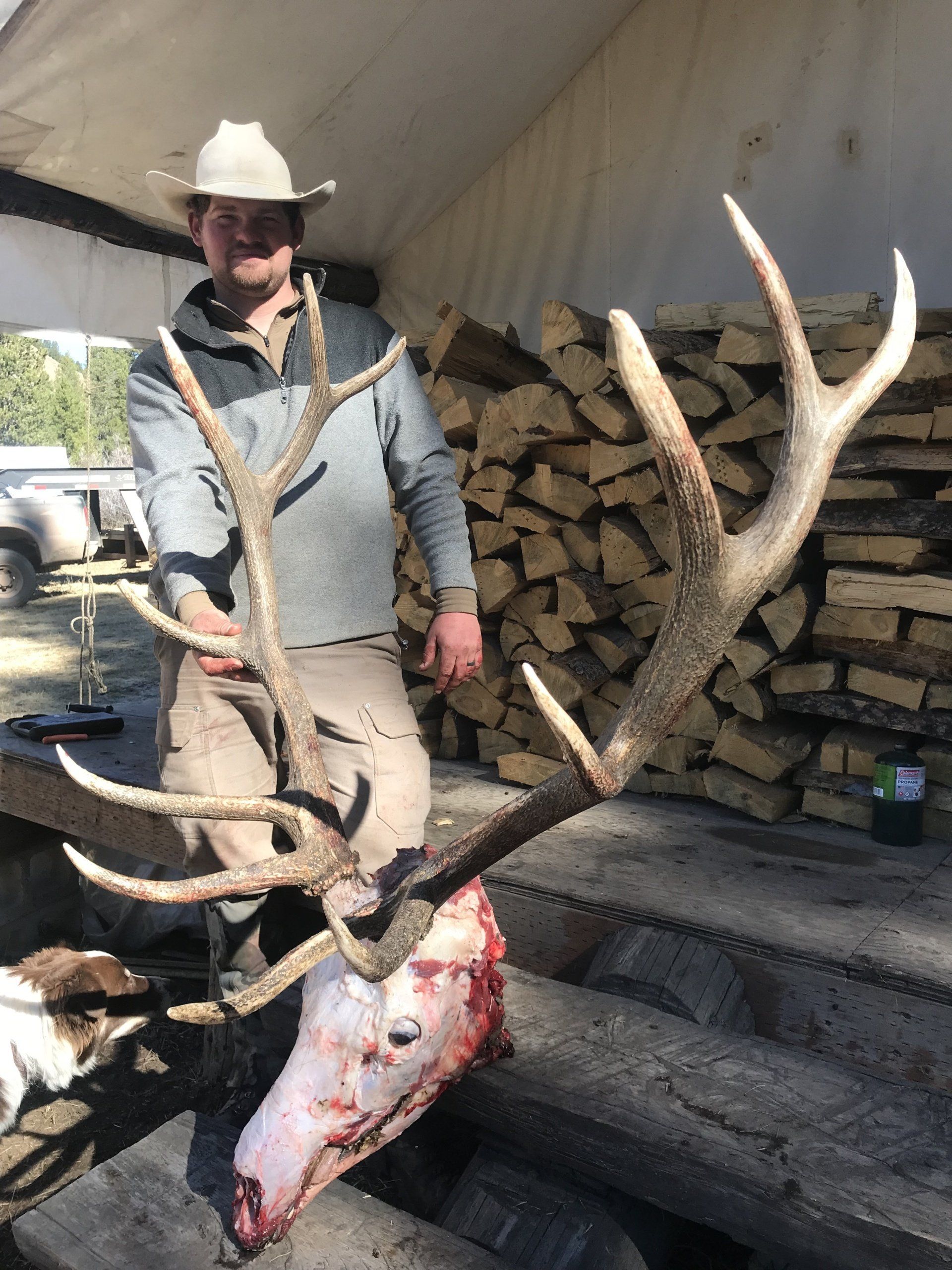 Man in cowboy hat with elk head and antlers; wood pile in background.