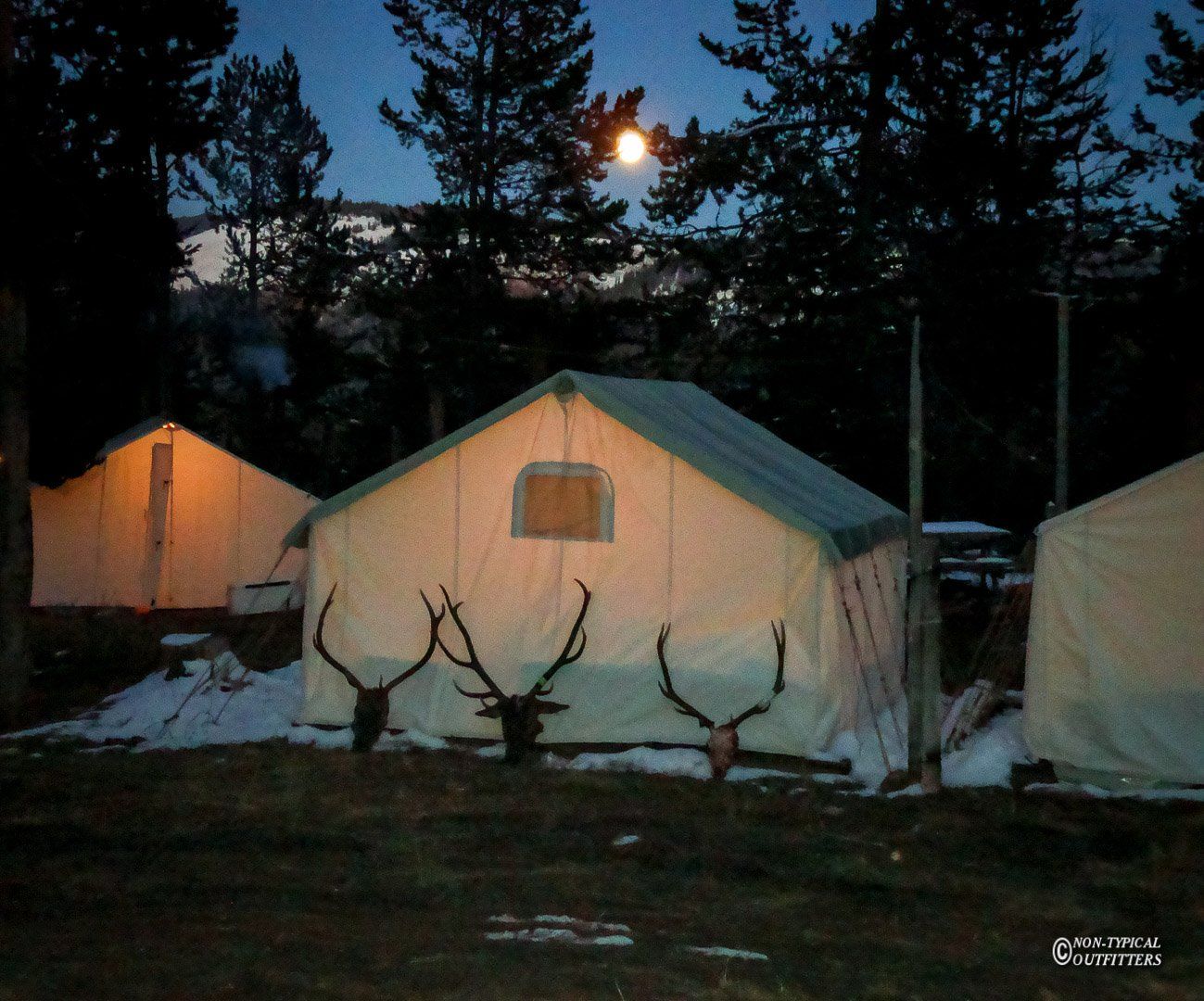 A tent with a deer head on it is lit up at night