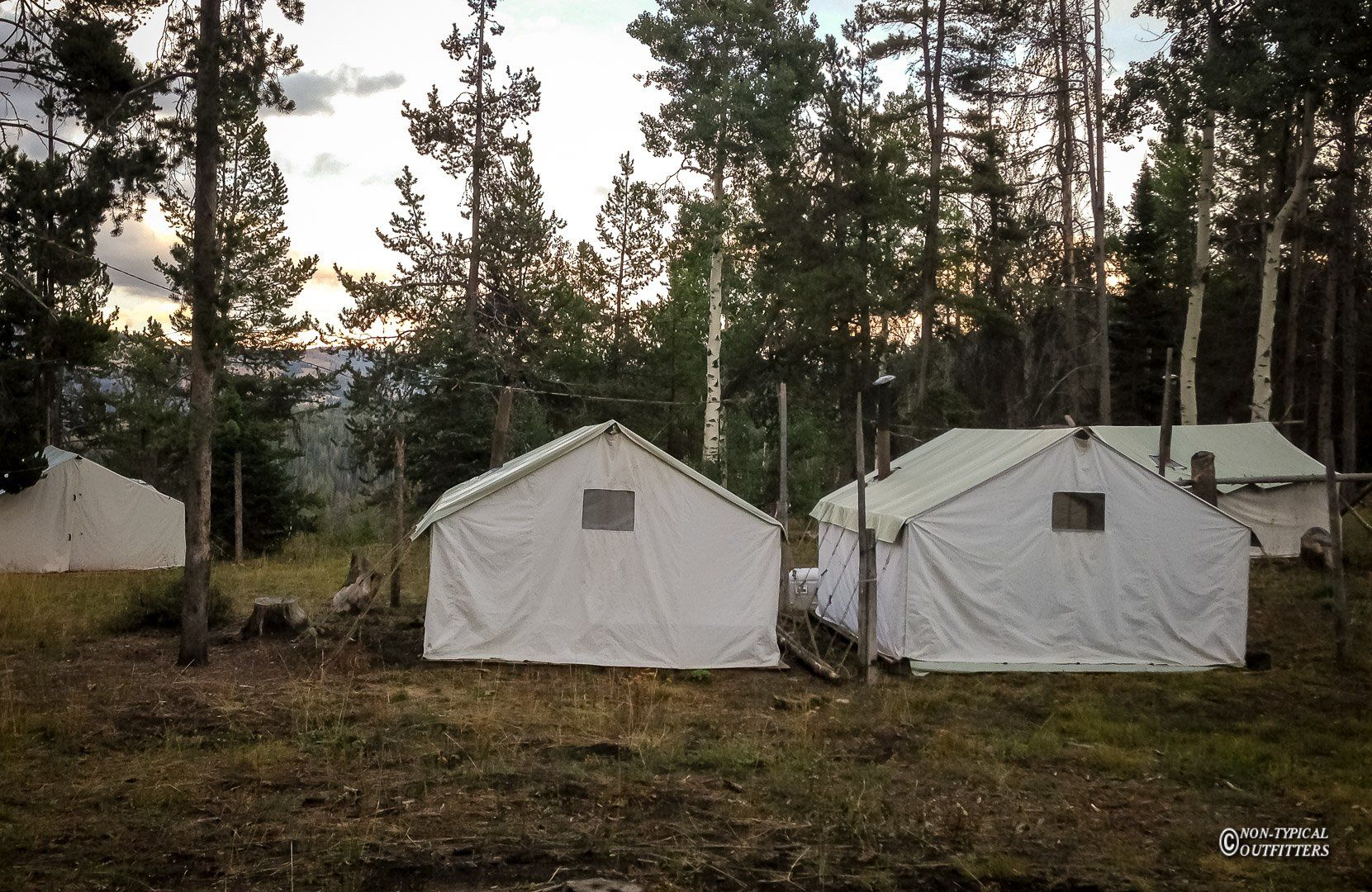 A row of tents in a field with trees in the background