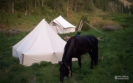 A horse is grazing in front of a tent in a field.