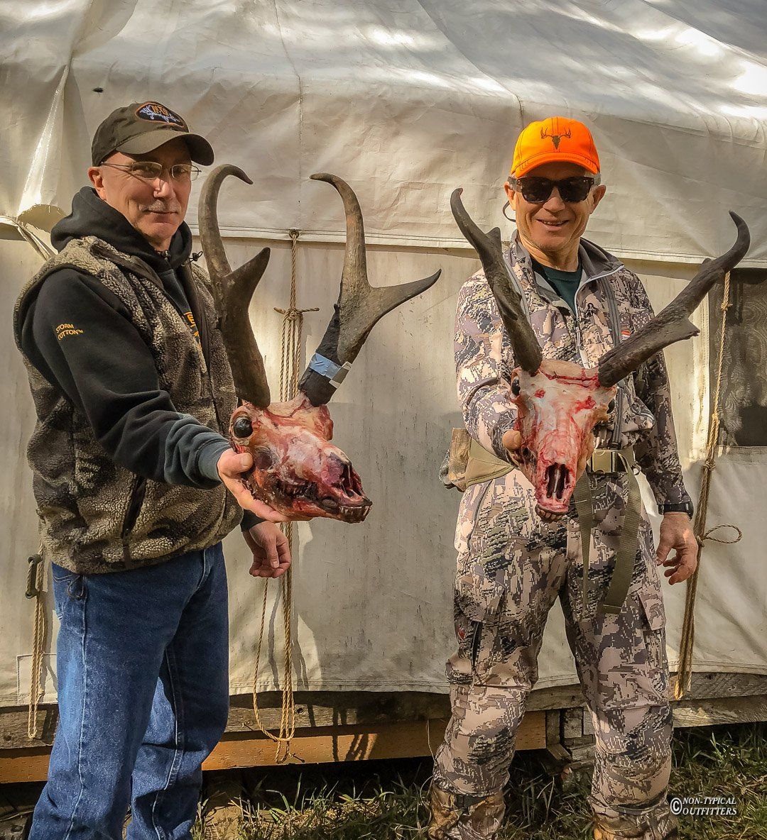 A man in an orange hat is holding a deer skull