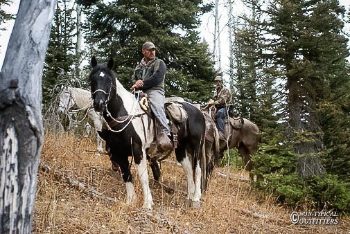 A man is riding a black and white horse in the woods.