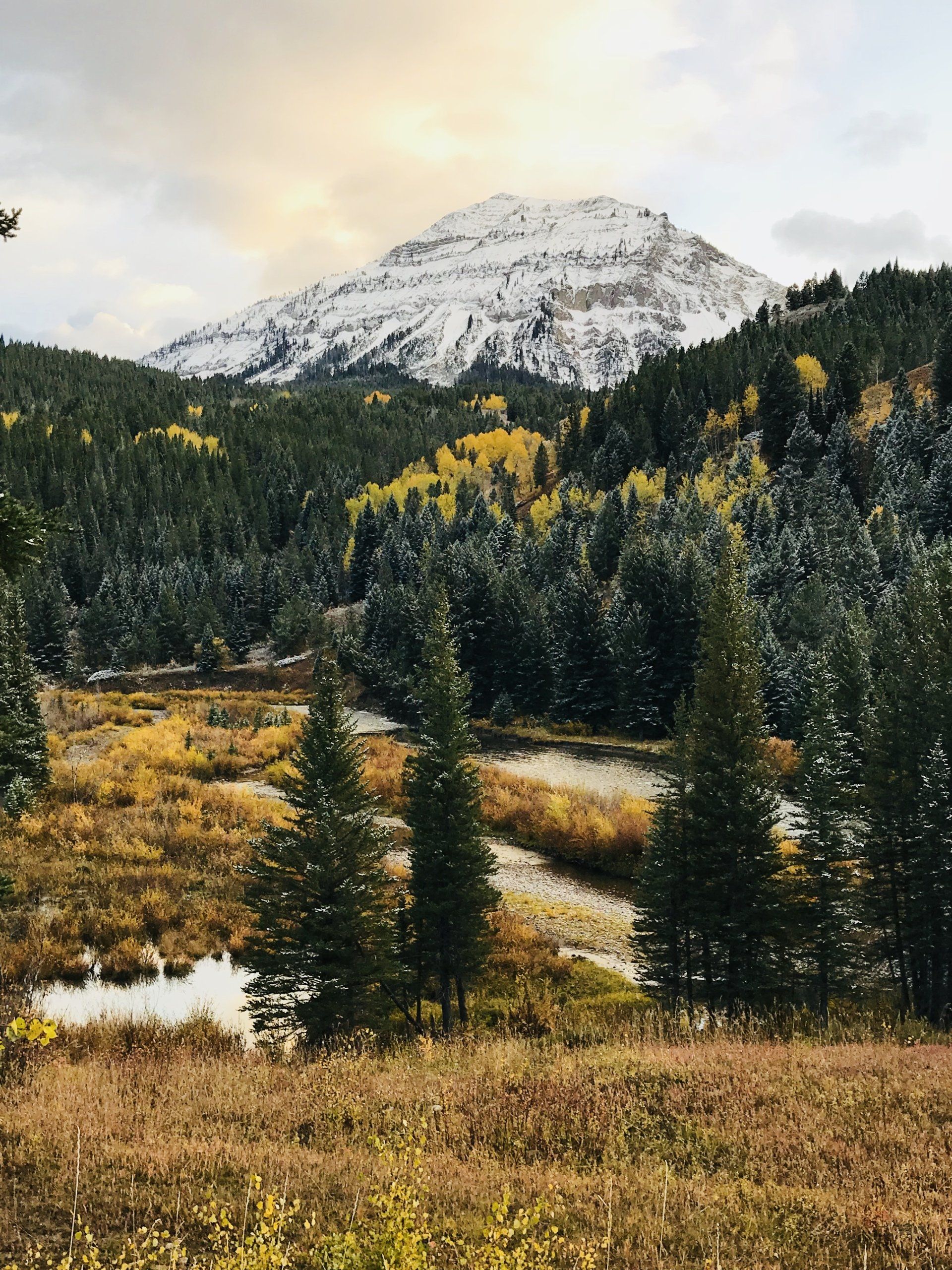 Mountain covered in snow rises above a forest with yellow and green trees; a pond sits below.