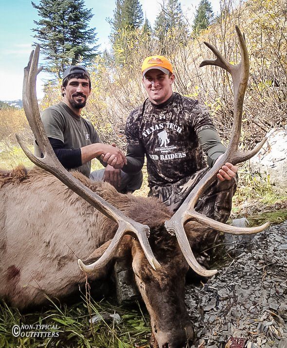 Two men shake hands over a large elk with impressive antlers in a forest setting. One wears camo.