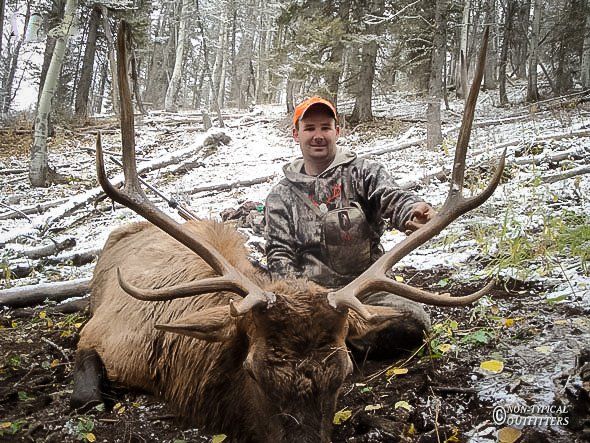 Man kneels beside a large elk with antlers in a snowy forest.