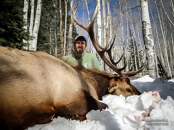 Man standing over a large dead elk in a snowy forest.