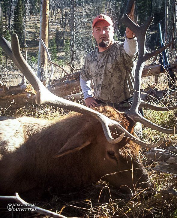 Man in camo and red cap with large elk, outdoors.