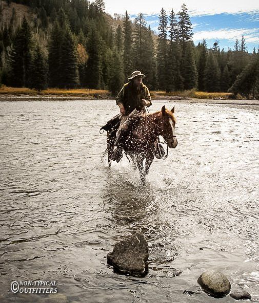 A rider on horseback crosses a shallow river, splashes visible. Forest and blue sky in the background.