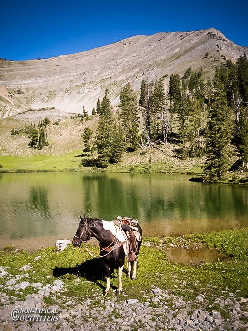 Horse with saddle at the edge of a green lake, mountains in the background under a blue sky.