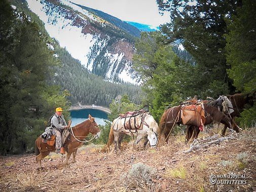 Man on horseback leads pack animals along a mountain trail overlooking a lake. Snowy peaks in background.