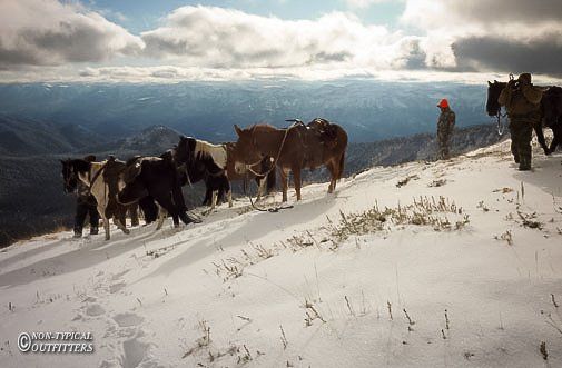 Cattle and two riders on horseback traverse a snowy mountain ridge under a cloudy sky.