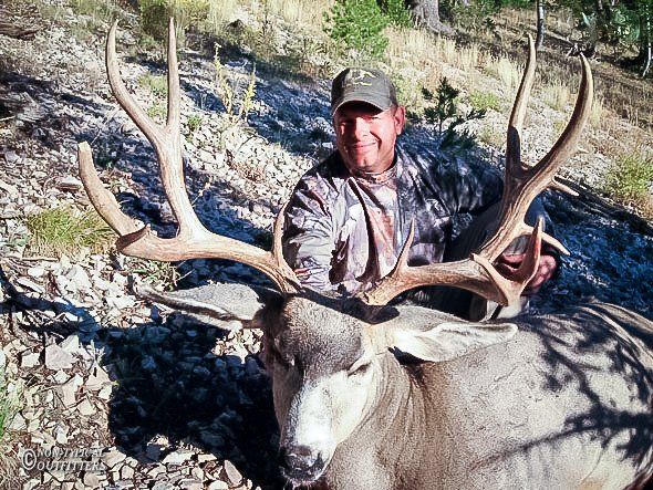 A man standing next to a large deer with antlers