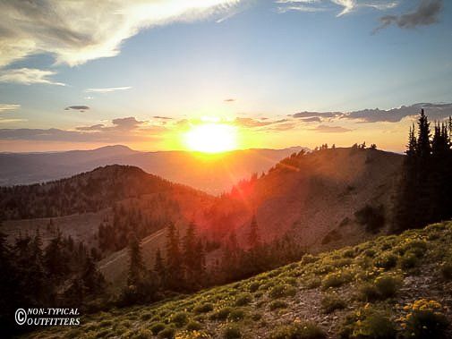 Sunset over mountain range, sun shining brightly. Hilly terrain with trees in silhouette.