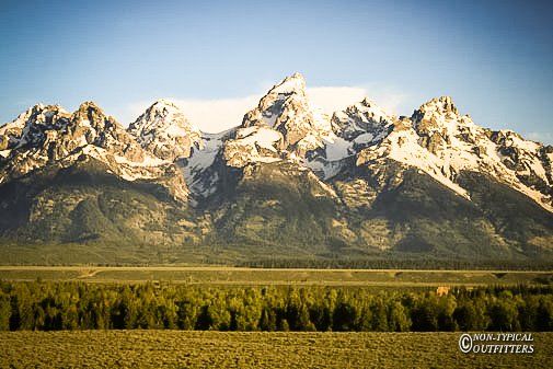 Snow-capped mountains rise above a green forest against a blue sky.