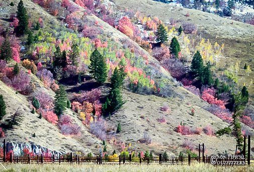 Hilly landscape with fall foliage in shades of red, orange, and yellow, interspersed with evergreen trees.
