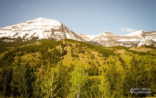 Snow-capped mountains rise above a green forest under a blue sky.