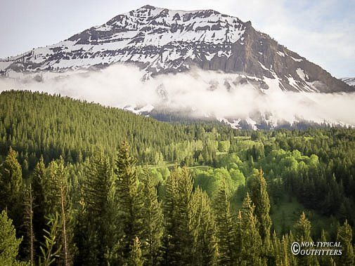 Snow-capped mountain rising above a green forest. Fog in the valley.