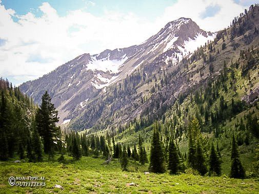 Mountain valley with green meadow and trees, snow-capped peaks against a blue sky.
