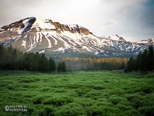 Snow-capped mountain over a green meadow and treeline, under a cloudy sky.