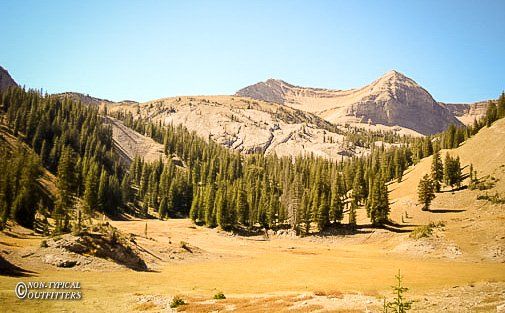 Mountain valley with evergreen trees and dry, grassy terrain under a clear blue sky.