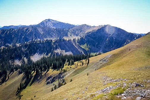 Mountains with evergreen trees and a grassy hillside under a clear, blue sky.