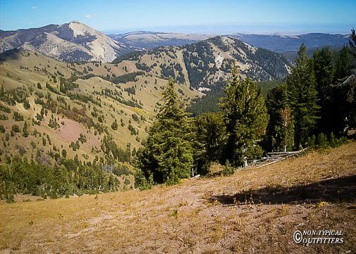 Mountain landscape: rolling hills, evergreen trees, and distant peaks under a clear blue sky.