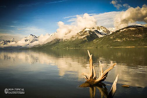 Still lake with mountain range background, partly obscured by clouds. Dried tree stump in the foreground.