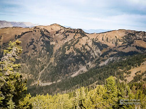 Mountain range with evergreen trees in the foreground and a clear blue sky.
