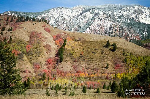 Autumn mountains with colorful foliage and snow-capped peaks.