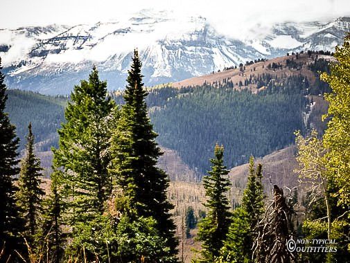 Snow-capped mountain range rises above evergreen forests and rolling hills under a cloudy sky.