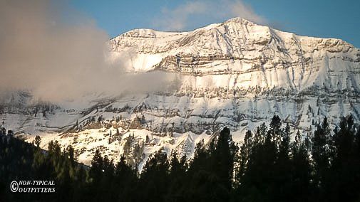 Snow-covered mountain peak with a sunlit face, partly obscured by clouds, above a dark forest.