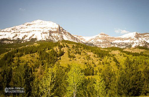 Snow-capped mountains rise above a green forest under a blue sky.