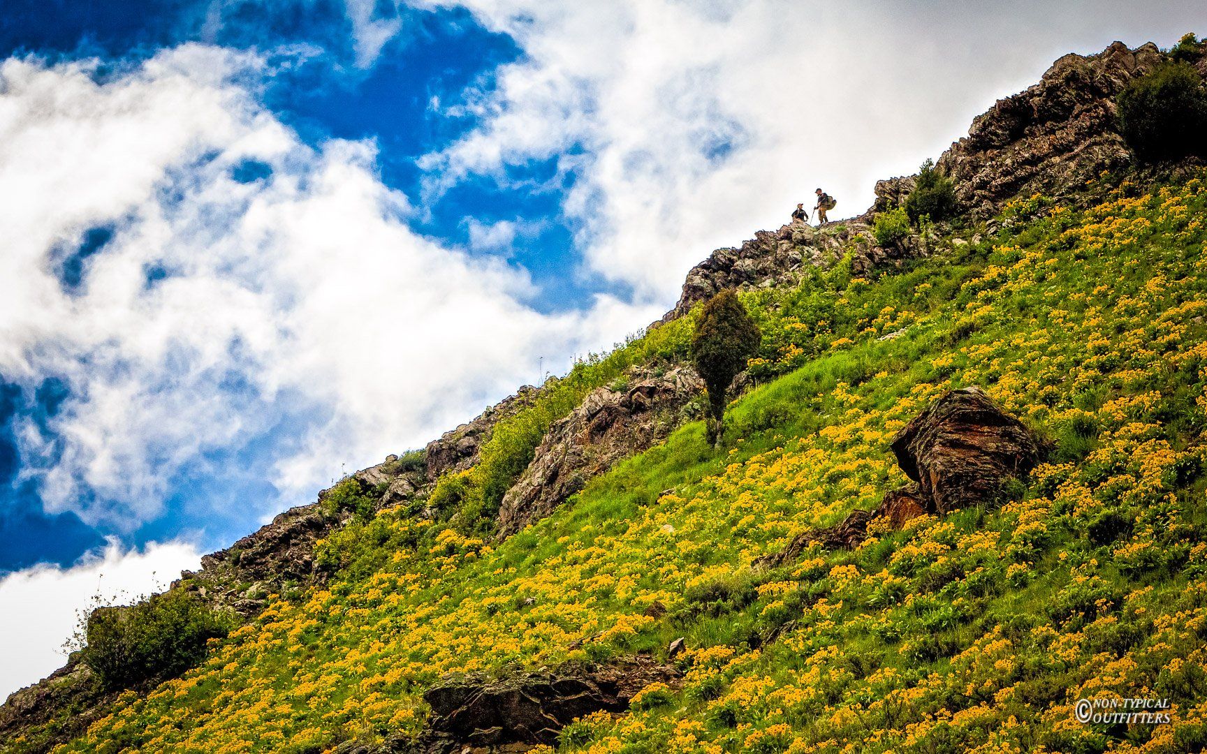 Green, flower-covered mountain slope with a few hikers against a partly cloudy sky.
