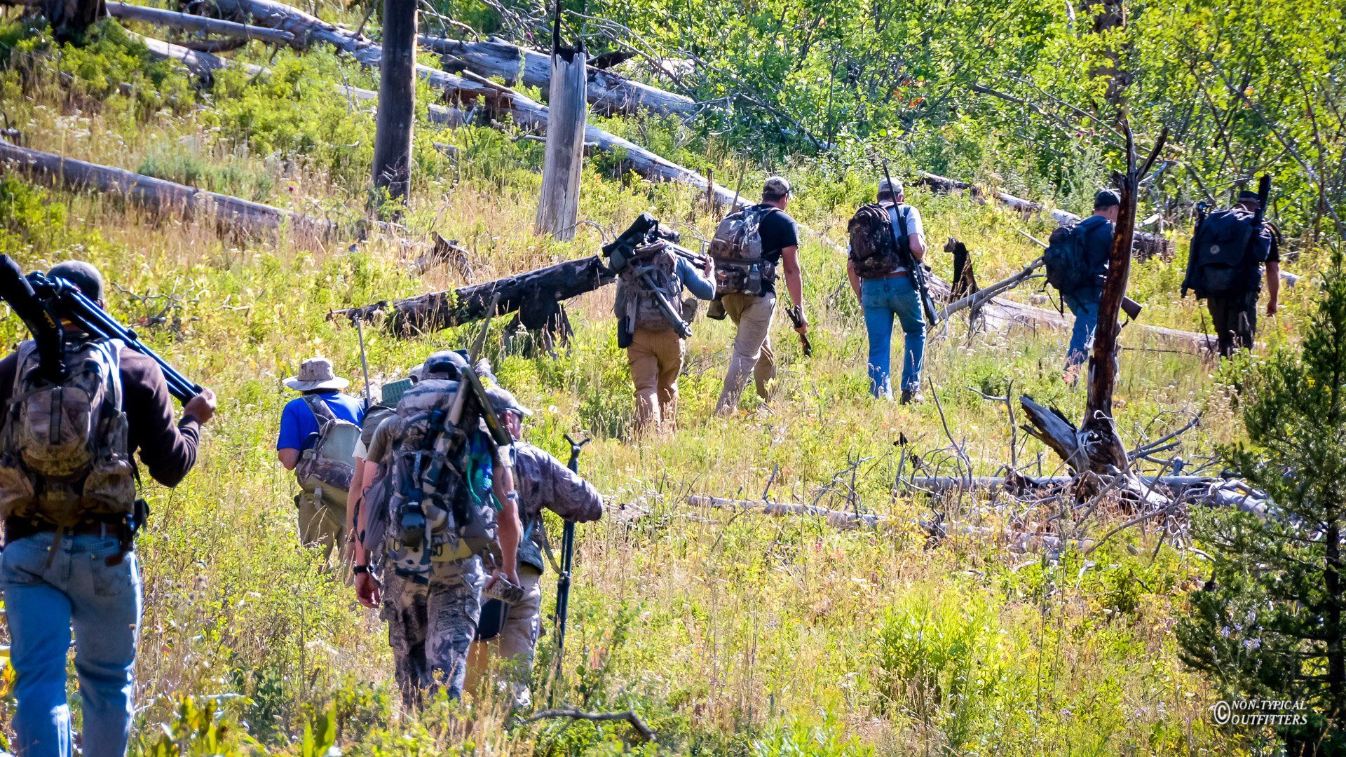 A group of people are walking through a grassy field
