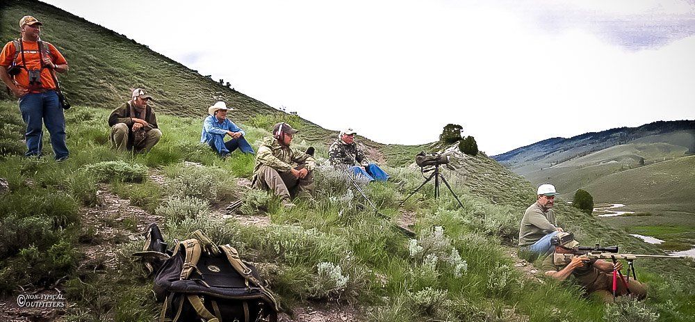 A group of people sitting on top of a grassy hill