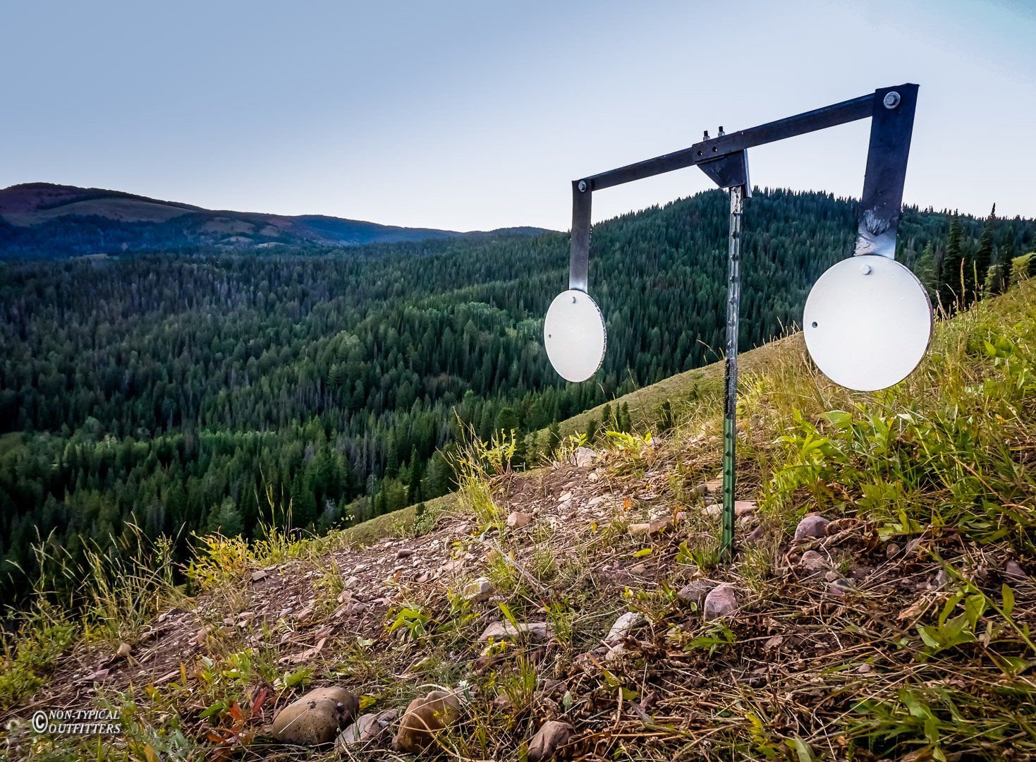 Two targets are sitting on top of a hill with a forest in the background.