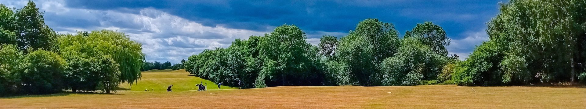 Home Header