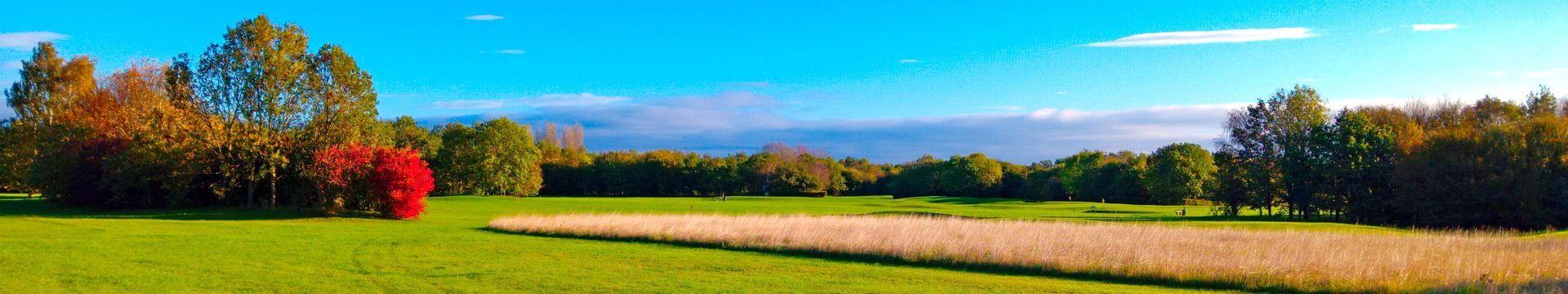 Autum Header