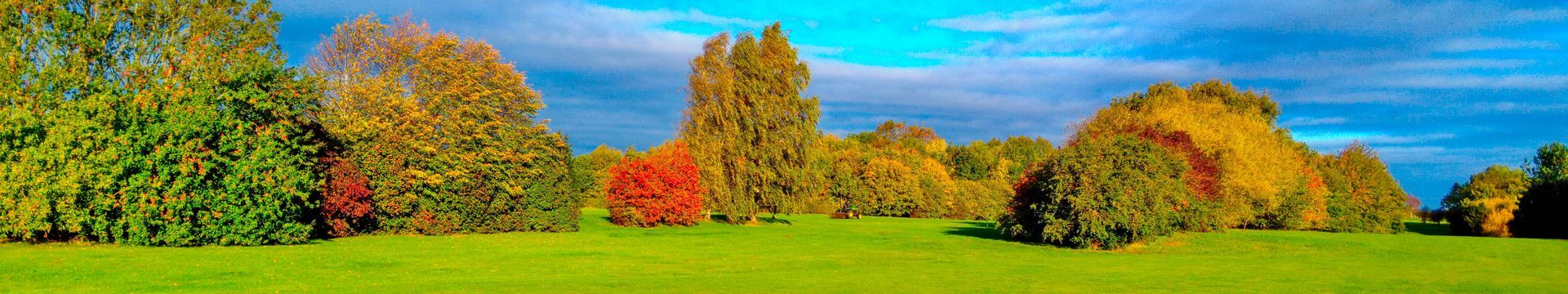 Autum Header