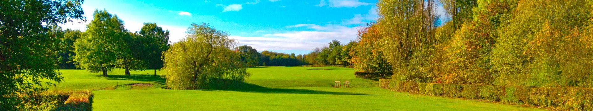 Autum Header